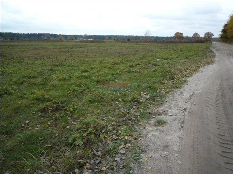 15850 - zdjęcie nr 0