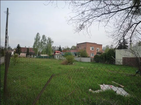 16094 - zdjęcie nr 0