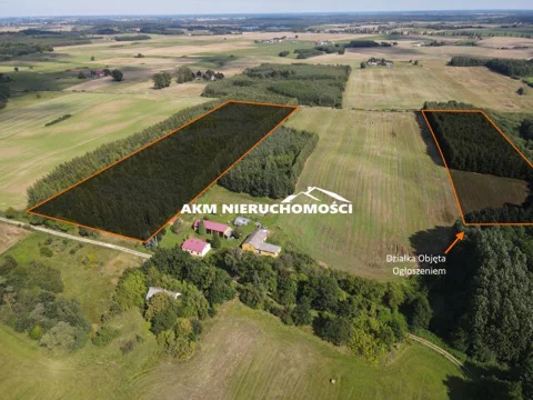 402 - zdjęcie nr 0