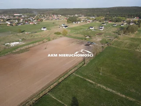 271 - zdjęcie nr 0