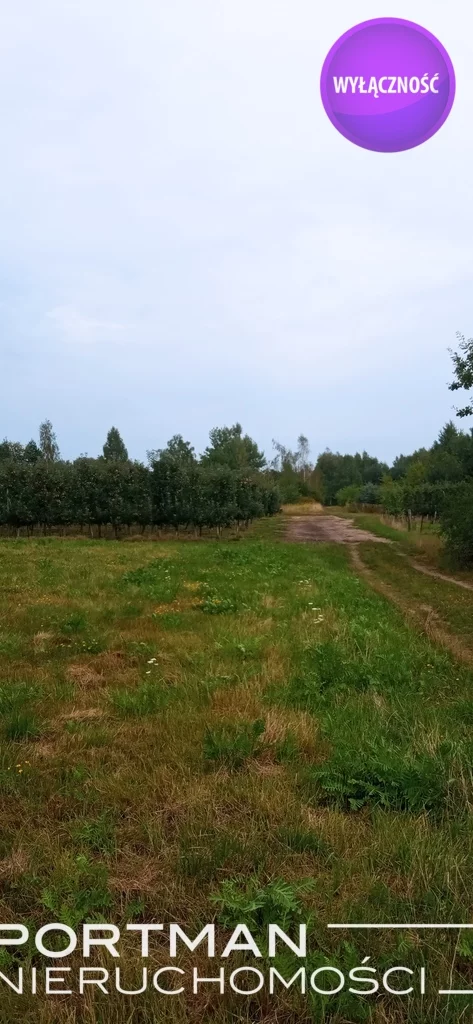 2858/4857/OGS - zdjęcie nr 0
