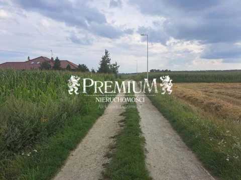28810117 - zdjęcie nr 0