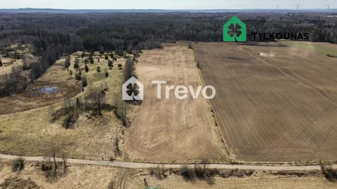 TN466369 - zdjęcie nr 0