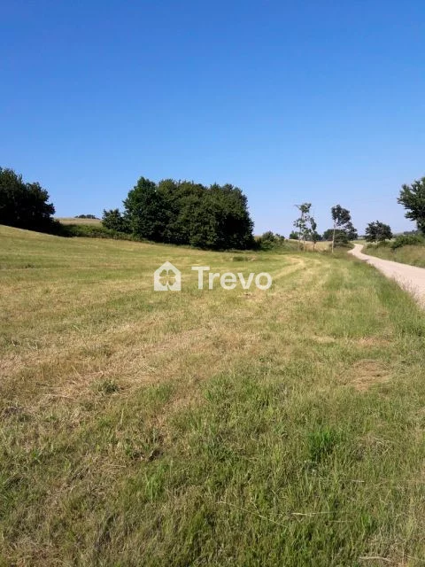 TN396182 - zdjęcie nr 0