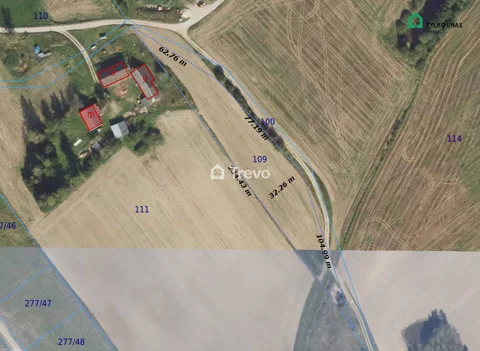 TN309993 - zdjęcie nr 0