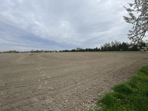 GH996467 - zdjęcie nr 0