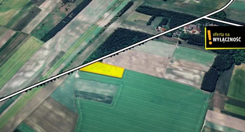 GH603892 - zdjęcie nr 0