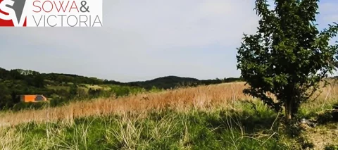 818/14328/OGS - zdjęcie nr 0