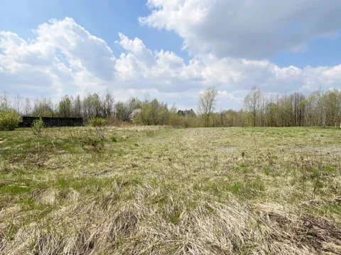 836057 - zdjęcie nr 0