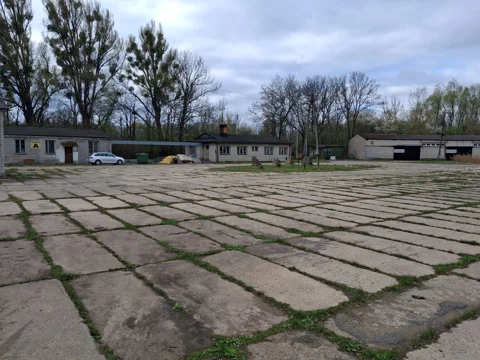 835858 - zdjęcie nr 0