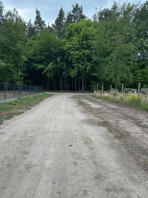 835892 - zdjęcie nr 0