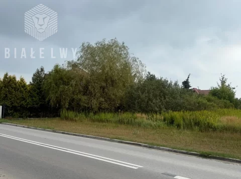 BLN275714 - zdjęcie nr 0