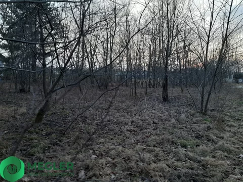 229/9507/OGS - zdjęcie nr 0
