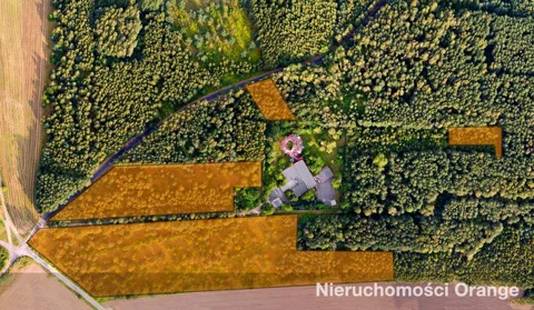 T08874 - zdjęcie nr 0