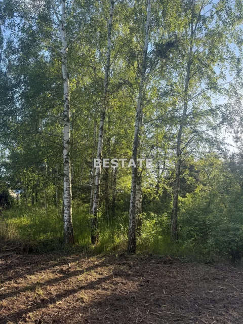 BEST-GS-14907 - zdjęcie nr 0
