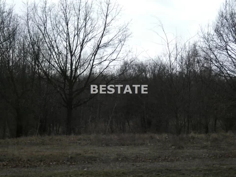 BEST-GS-12397-2 - zdjęcie nr 0