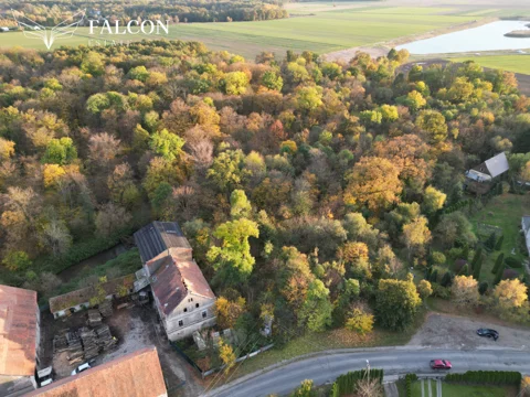 FE818807 - zdjęcie nr 0