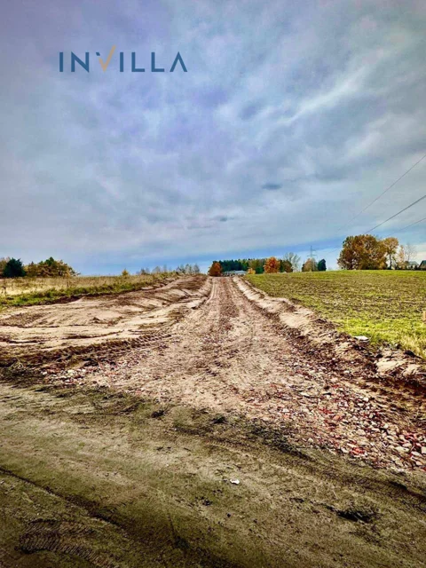 IN826963545 - zdjęcie nr 0