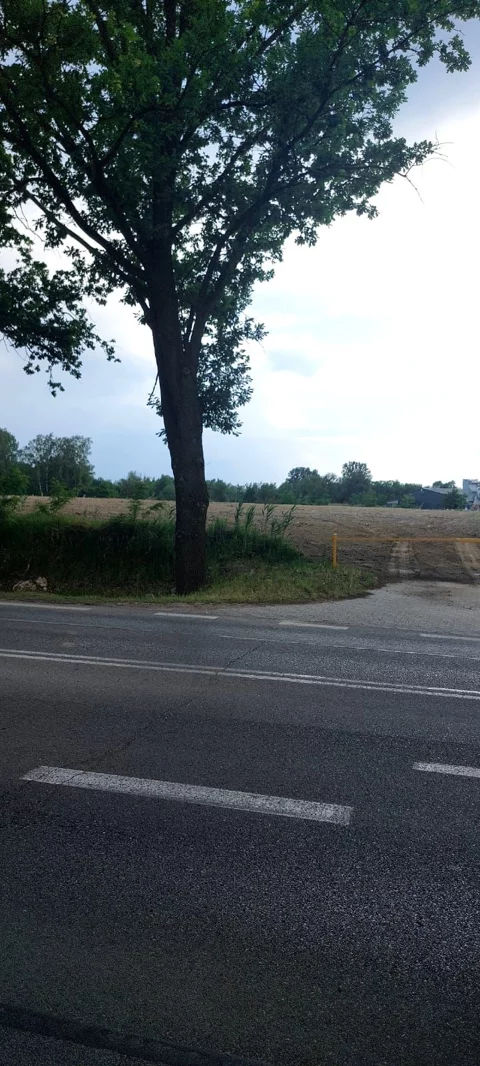 10377793 - zdjęcie nr 0