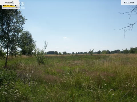 3773/7376/OGS - zdjęcie nr 0