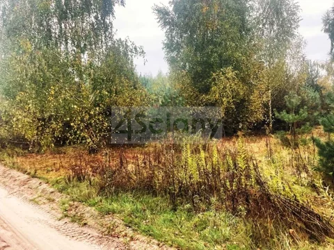 9542/3098/OGS - zdjęcie nr 0