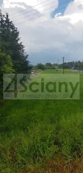 9323/3098/OGS - zdjęcie nr 0