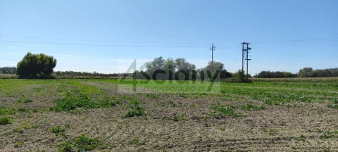 10216/3098/OGS - zdjęcie nr 0