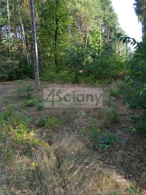 9415/3098/OGS - zdjęcie nr 0
