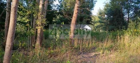 8890/3098/OGS - zdjęcie nr 0