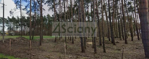9796/3098/OGS - zdjęcie nr 0
