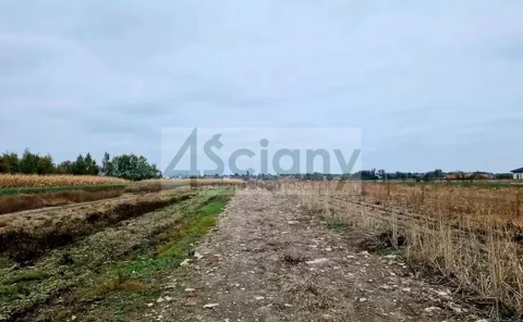 10377/3098/OGS - zdjęcie nr 0