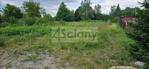 10276/3098/OGS - zdjęcie nr 0