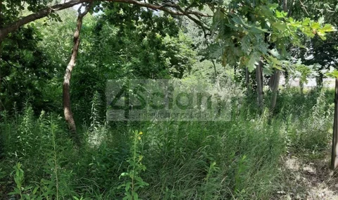 9320/3098/OGS - zdjęcie nr 0