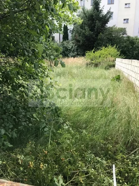 10147/3098/OGS - zdjęcie nr 0
