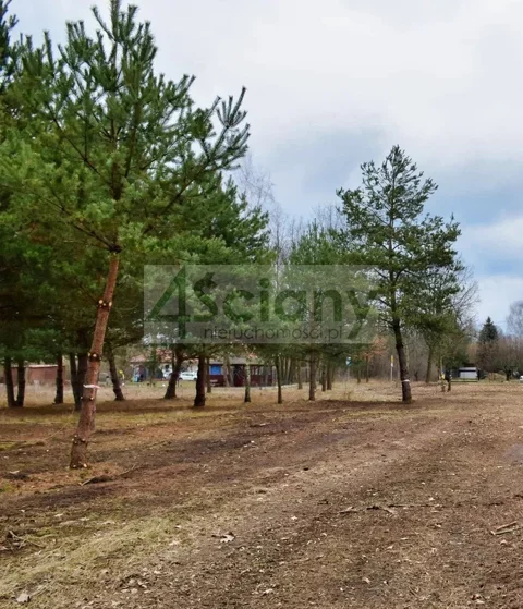 10307/3098/OGS - zdjęcie nr 0