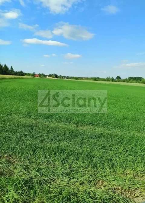 7735/3098/OGS - zdjęcie nr 0