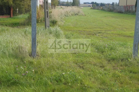 5541/3098/OGS - zdjęcie nr 0