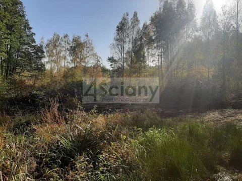7725/3098/OGS - zdjęcie nr 0