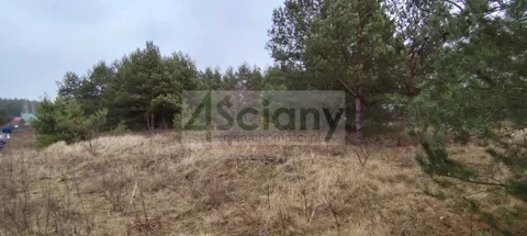 9844/3098/OGS - zdjęcie nr 0
