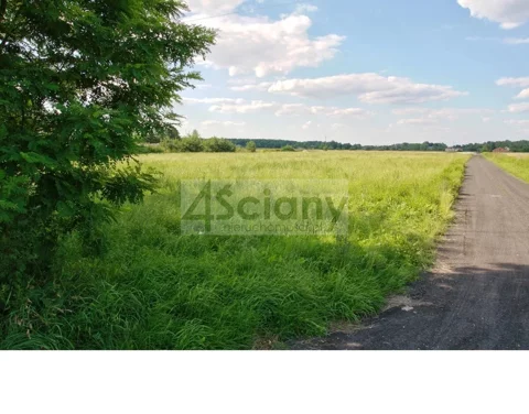 7125/3098/OGS - zdjęcie nr 0