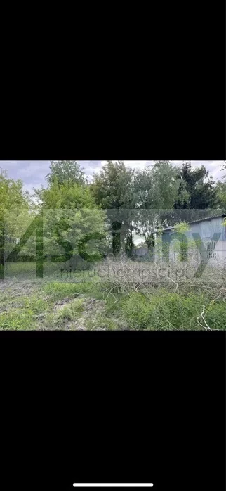 10186/3098/OGS - zdjęcie nr 0