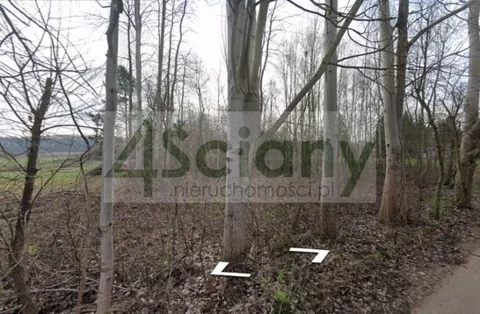 10392/3098/OGS - zdjęcie nr 0