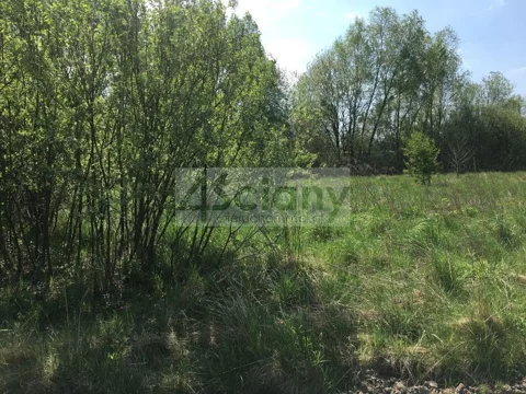 6511/3098/OGS - zdjęcie nr 0