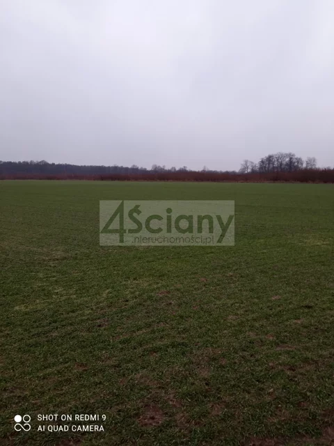 7918/3098/OGS - zdjęcie nr 0