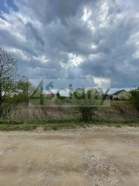 9271/3098/OGS - zdjęcie nr 0