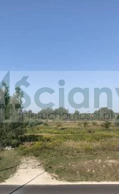 7397/3098/OGS - zdjęcie nr 0