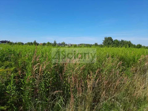 9981/3098/OGS - zdjęcie nr 0