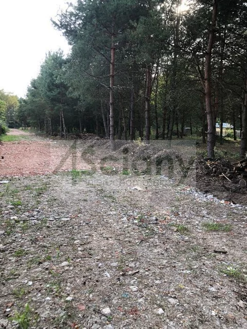 9678/3098/OGS - zdjęcie nr 0