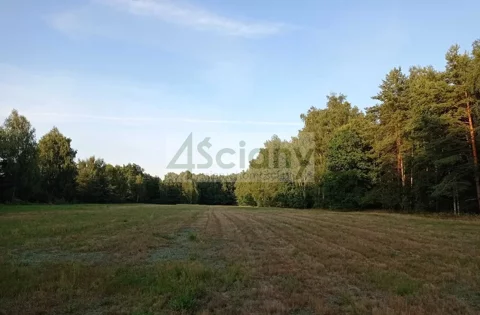7681/3098/OGS - zdjęcie nr 0