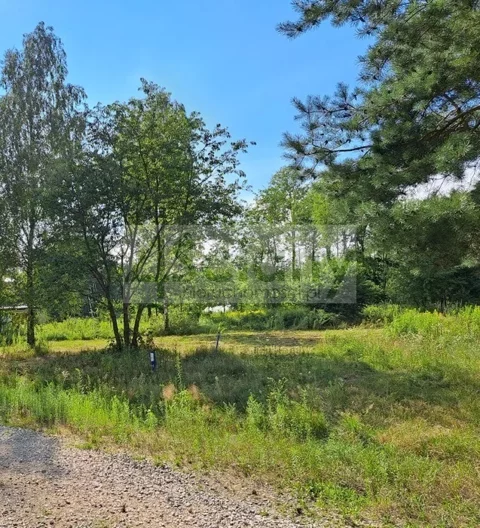10138/3098/OGS - zdjęcie nr 0